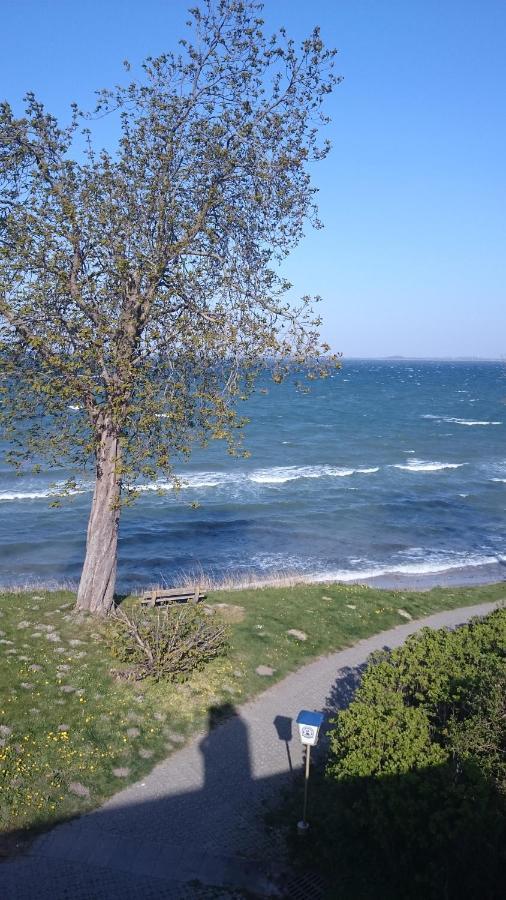 Strandappartement Steinberghaff "Zur Birk" Mit Meerblick Steinberg  Exterior photo