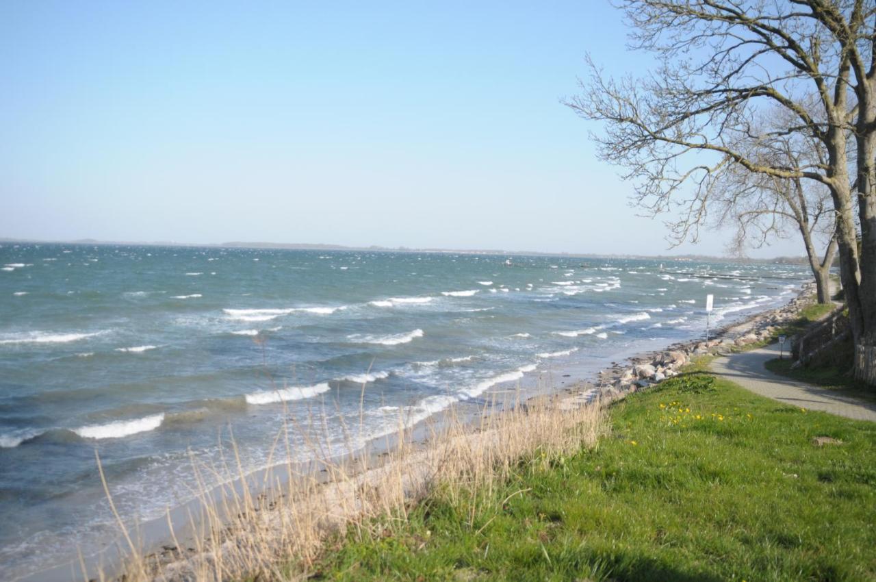 Strandappartement Steinberghaff "Zur Birk" Mit Meerblick Steinberg  Exterior photo